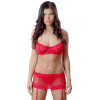 Vx Intimates Lace Bra plus Garter and G-String Set White Red Black by Vx Intimates